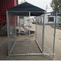 Cage per cani per cani per cani inossidabile in metallo